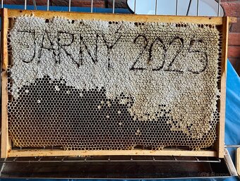 Predám včelí med - 2