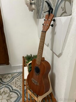 ukulele - 2