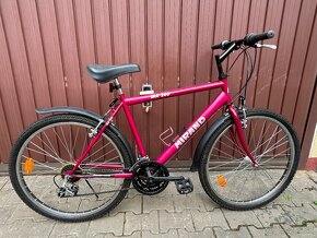 Horský bicykel MIRAND - 2