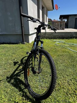 CTM Rein 1.0 2019 - 2