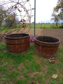 Sudvé kvetináče dubové. - 2