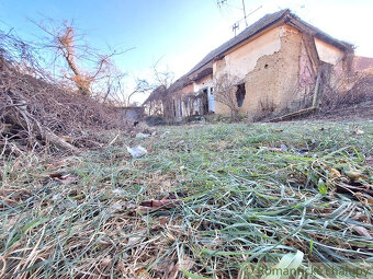 Pôvodná chalúpka v kľudnej časti podunajskej vinárskej ded - 2