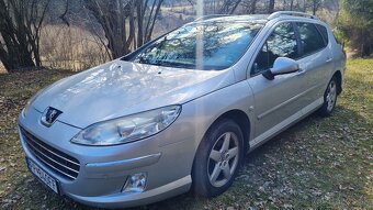 Peugeot 407 SW 1.6 HDi Elegance FAP - 2