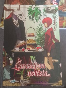 Knihy manga Čardojova nevěsta (The Ancient Magus' Bride) - 2
