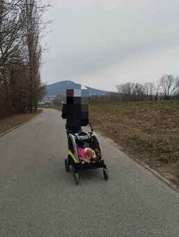 Kočík pre psíkov - 2