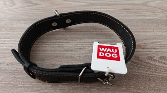 Nový kožený obojok - 2