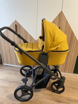 Kočiar Bebeto Flavio - 2