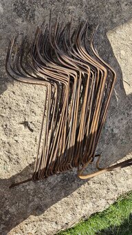Prsty,palce na slniečkovu hrabacku - 2