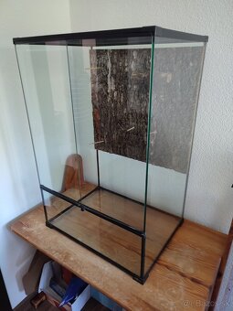 Terarium - 2