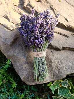 Levanduľa kvety súšene - 2