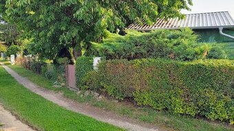 Záhrada s chatkou Šaľa - Veča - 2