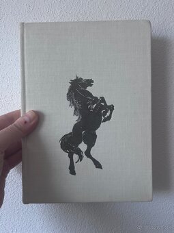 Karl May - Čierny Mustang - 2