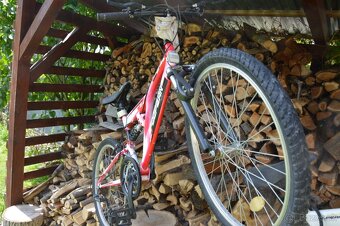Dámsky bicykel - 2