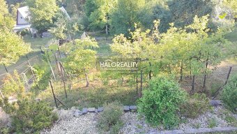 HALO reality - Predaj, rekreačný pozemok Krupina, vhodný na - 2
