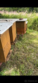 Predám včely s úľmi aj celou výbavou - 2