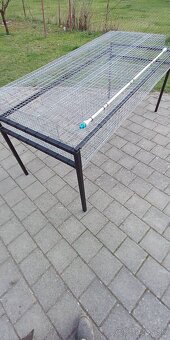 Králiky - 2