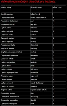 registračne krúžky rok 2025 - 2