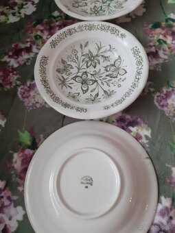 Predám taniere čo je na obrázku - 2