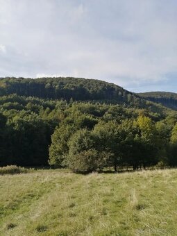 Ponúkam do nájmu lesné pozemky. - 2