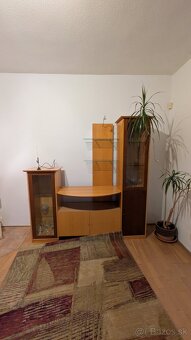 Darujem koberec - 2