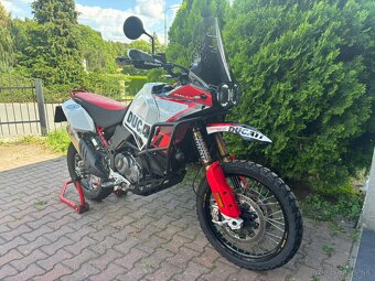 DUCATI DESERT X RALLY FULL TERMIGNONI - 2
