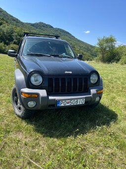 Jeep Cherokee sport - 2