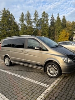 MERCEDES VIANO - 2