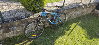 CTM Terrano 1.0 - 2