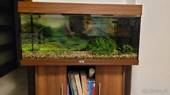 Akvarium Juwel rio180 - 2