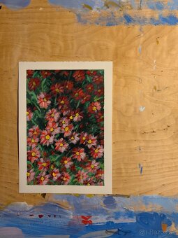Marguerite Daisy- Art Print - 2