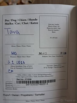 Nemecký ovčiak - 2