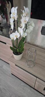 Predám stojan na kapsule dolce gusto - 2