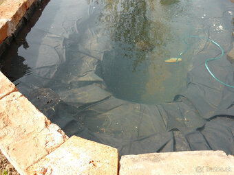 Korytnačka vodná - 2