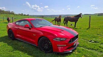 Ford Mustang GT 5.0 V8 - 2