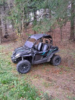 Buggy - 2