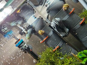 Akcia-Mini ampulária špirálová - Asolene spixi - 2