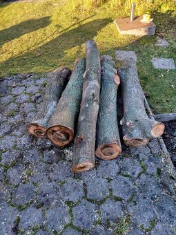 Predám orechové drevo - 2