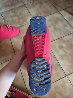 Darujem lyže a lyžiarky - 2