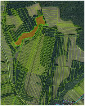 Predám Lesy a TTP v obci V. Hrušov(PAR.E 940)PRI MAŠKOVCIACH - 2