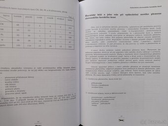 HUCUL - 2