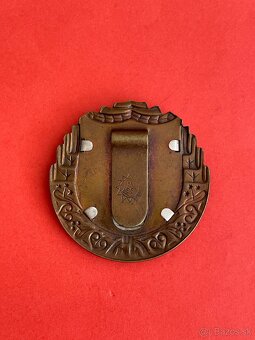 Strelecky odznak 1929 - 2