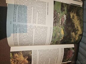 Záhradkárska encyklopédia - 2