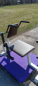 Lavička brucho Gym 80 - 2