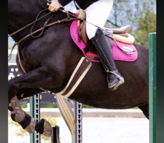 Podbrušník s umelým barančekom - 2