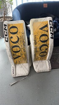 br.set CCM EFlex6 custom - 2