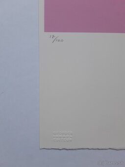 Andy Warhol – Mickey Mouse Pink - 2