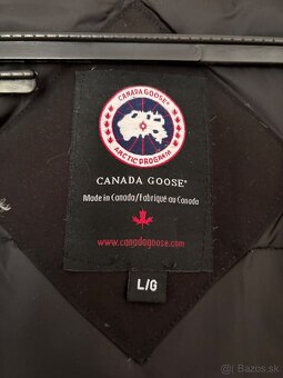 Canada Goose - 2