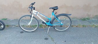 Ctm stefi 1.0 26" - 2