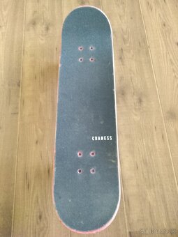 Skateboard Skate of Mind - 2