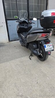 Predam Hondu Forzu 300 ABS - 2